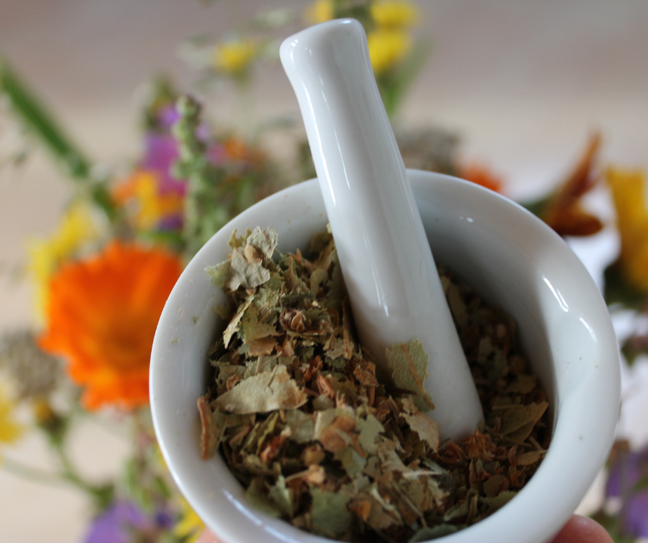 Drogues simples et composées, Datura, opium, thériaque