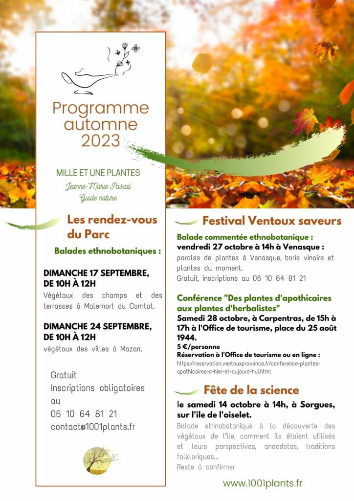 balades conférences ethnobotaniques plantes comestibles