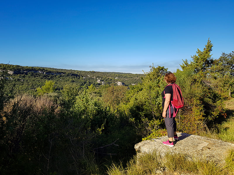 Balades botaniques en groupe