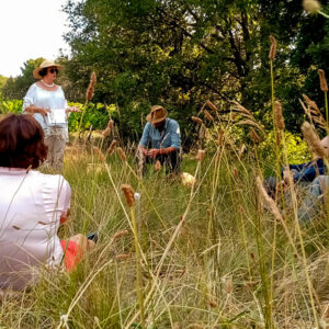 Balades Guidées et commentées dans le Vaucluse