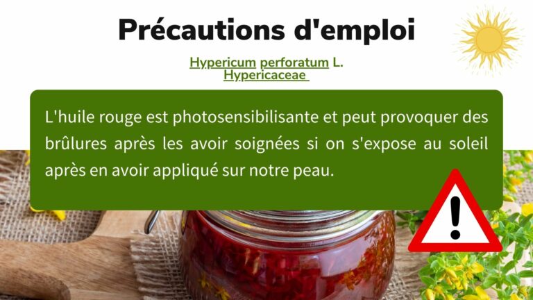 millepertuis photosensibilisant phytothérapie