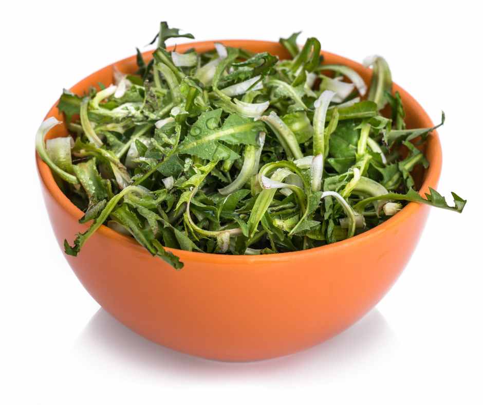 salades sauvages comestibles sur les chemins de la nature